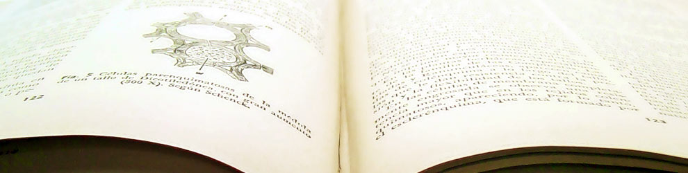 Photo by Homero Nu?ez Chapa