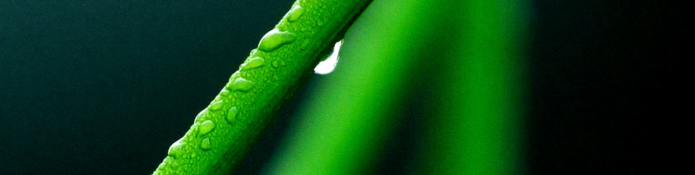 Photo by Jon Sullivan Photo by Jon Sullivan