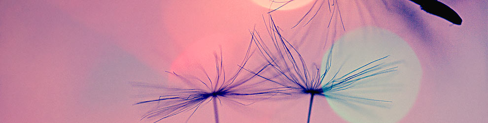 Photo by Neal Fowler