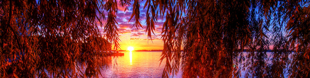 Photo by Paul Bica Photo by Paul Bica